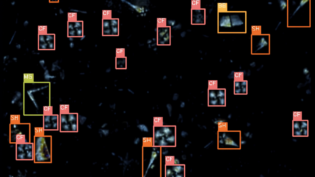 SIAM: AI-Powered Micropaleontology